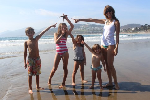 estrella de mar baja